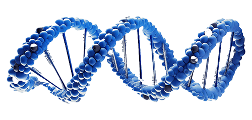 DNA graphic representing BioWell Pharmaceuticals science-backed formulations
