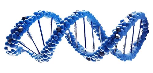 DNA graphic representing Bio Well Pharmaceuticals science-backed formulations